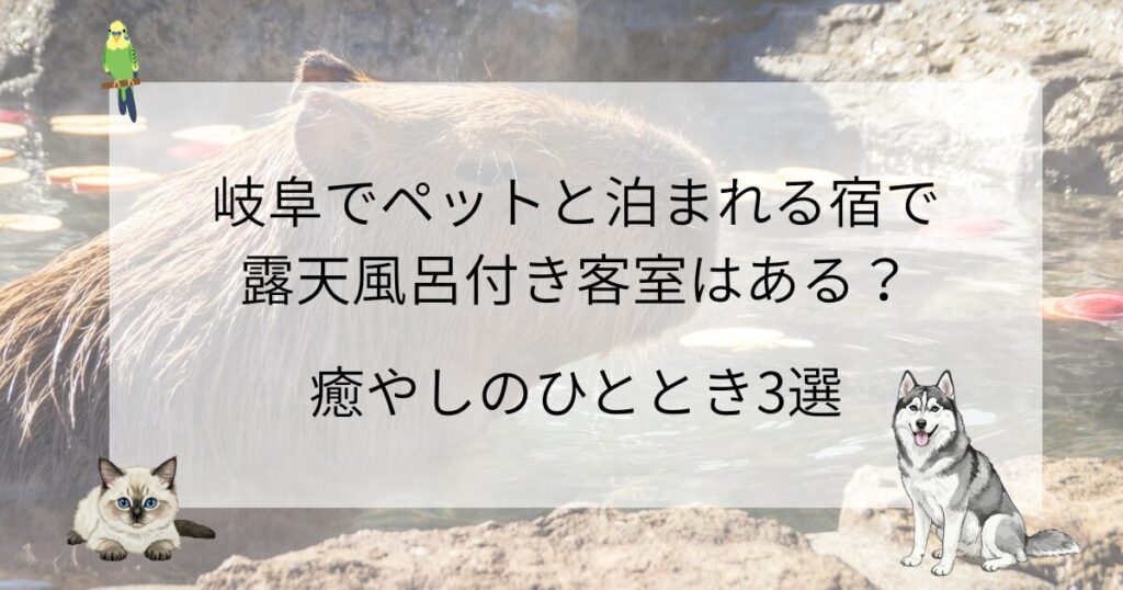 岐阜でペットと泊まれる宿で露天風呂付き客室はある？癒やしのひととき3選
