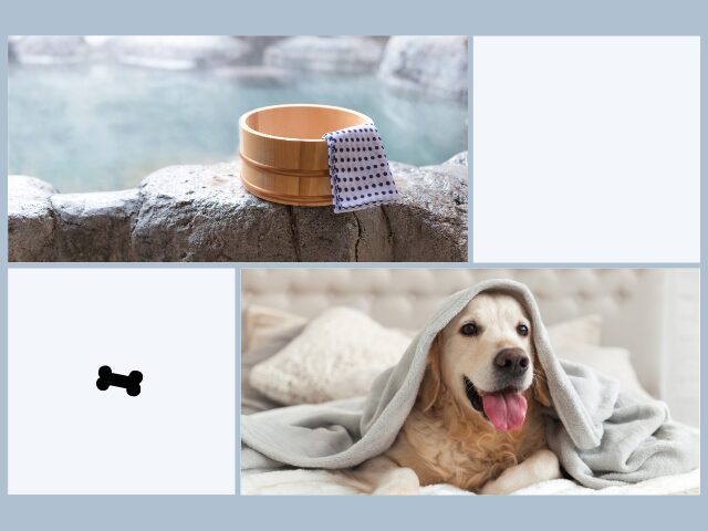 群馬でペットと泊まれる露天風呂付き客室のある宿4選！