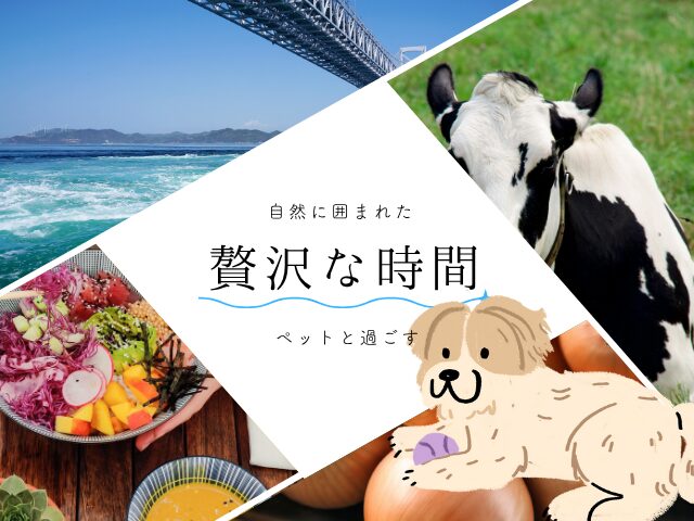 淡路島で露天風呂付き客室があるペットと泊まれる宿3選！