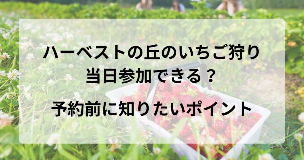 ハーベストの丘のいちご狩りは当日参加できる？予約前に知りたいポイント