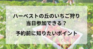 ハーベストの丘のいちご狩りは当日参加できる？予約前に知りたいポイント