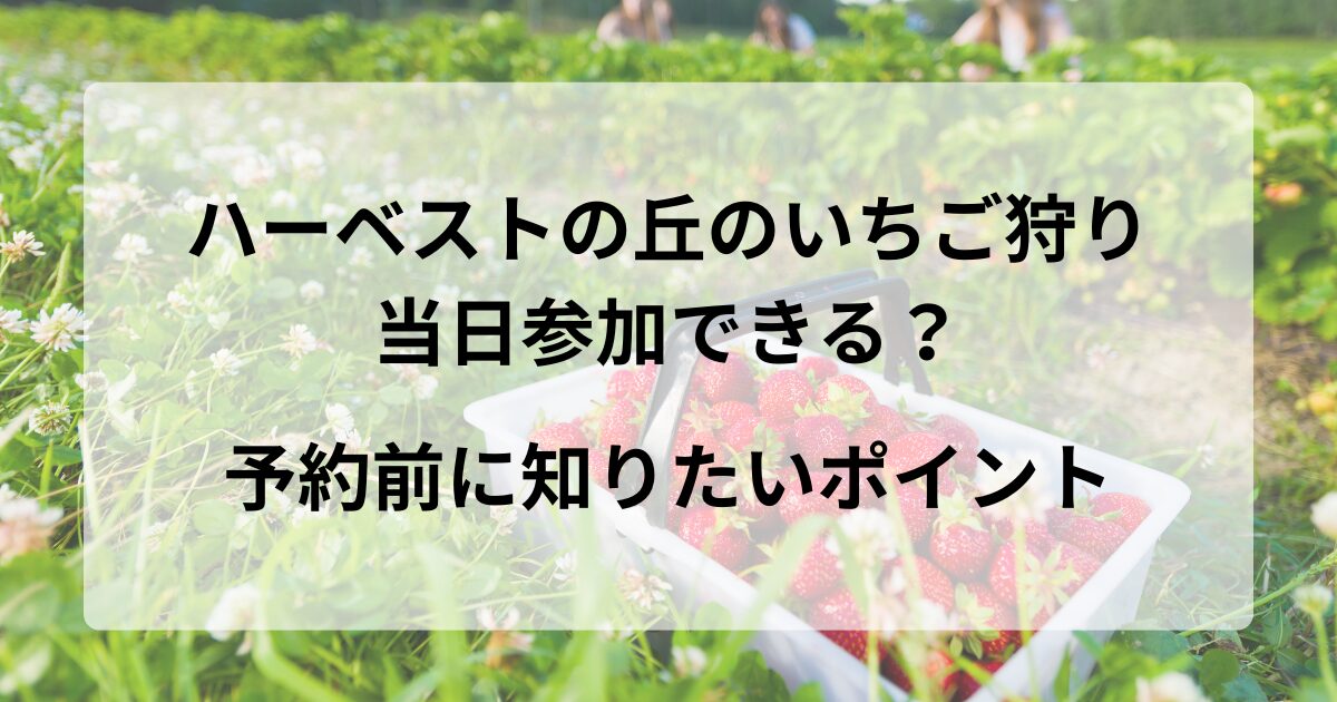 ハーベストの丘のいちご狩りは当日参加できる？予約前に知りたいポイント