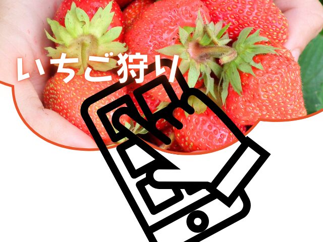 ハーベストの丘のいちご狩りは当日参加できる?